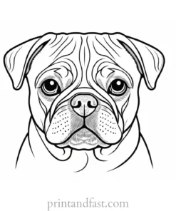 pug coloring page big