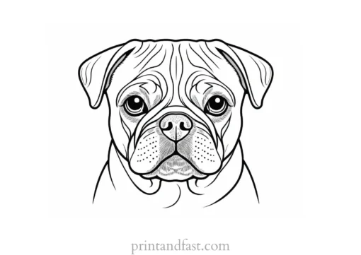 pug coloring page big