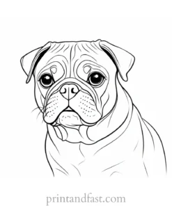 pug coloring page black and white