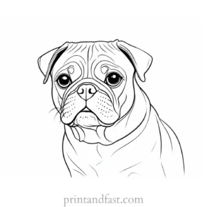 pug coloring page black and white