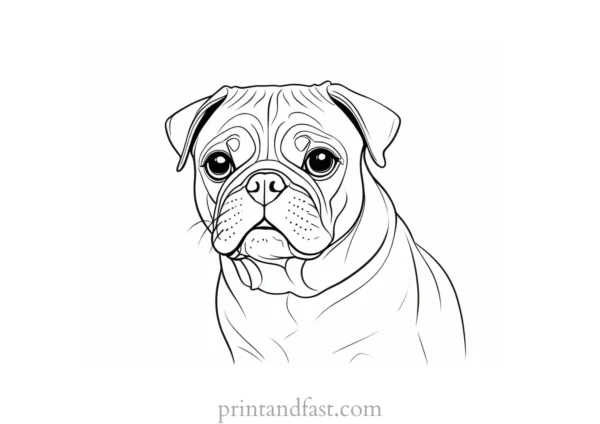 pug coloring page black and white