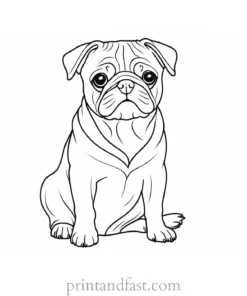 pug coloring page creative