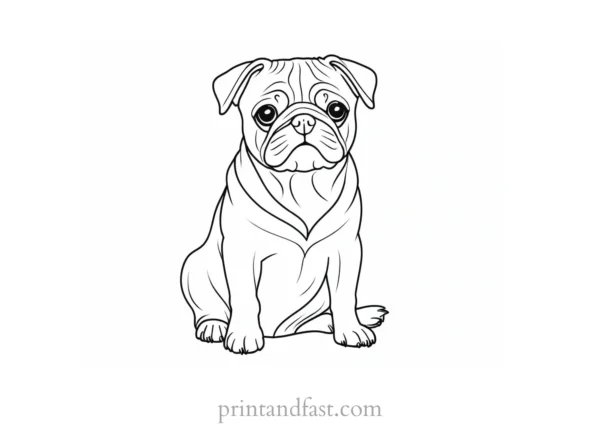 pug coloring page creative