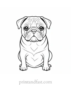 pug coloring page cute