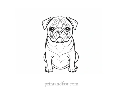 pug coloring page cute