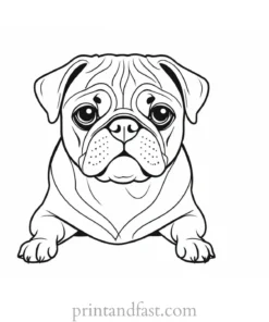 pug coloring page design