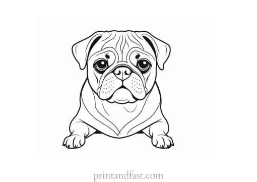 pug coloring page design