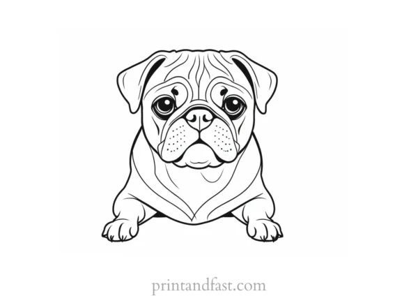 pug coloring page design