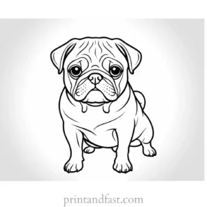 pug coloring page detailed