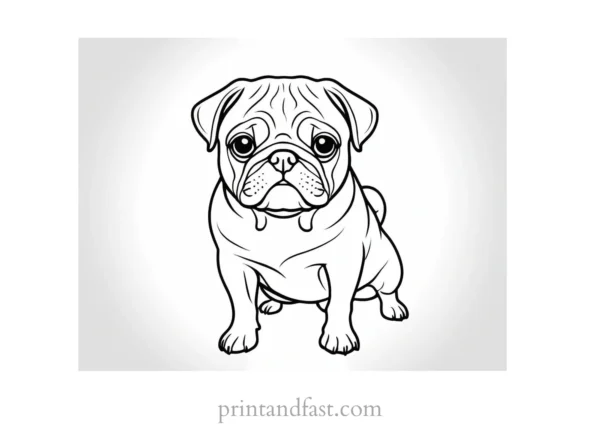 pug coloring page detailed