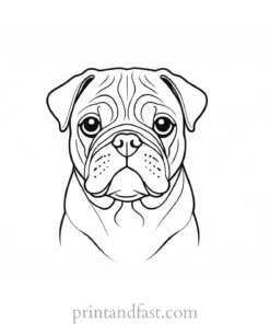 pug coloring page dog