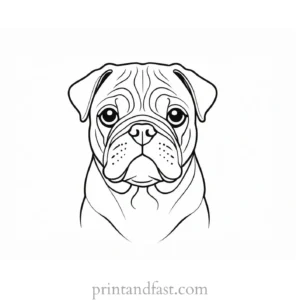 pug coloring page dog