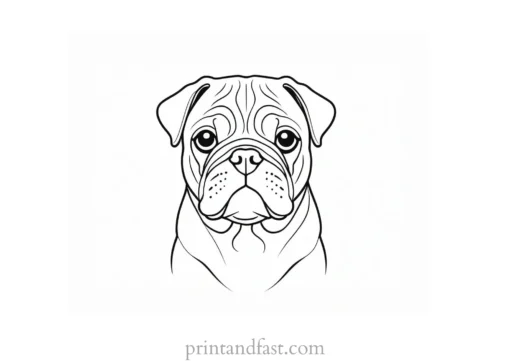 pug coloring page dog