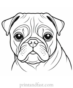 pug coloring page download