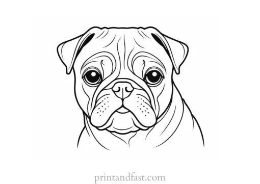 pug coloring page download