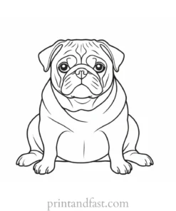 pug coloring page easy