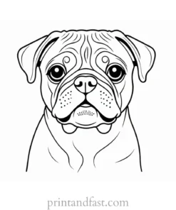 pug coloring page for kids