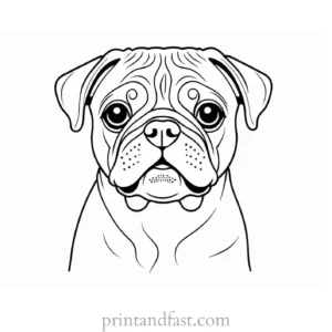 pug coloring page for kids