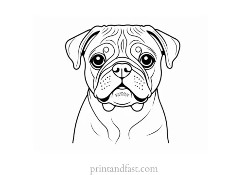 pug coloring page for kids