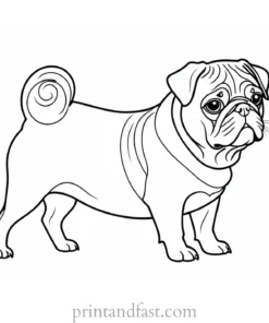 pug coloring page free