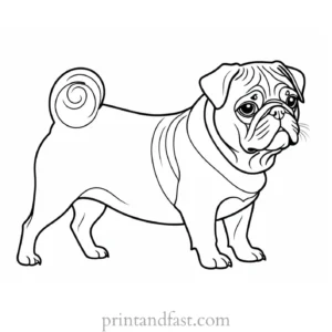 pug coloring page free