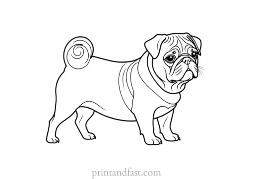 pug coloring page free