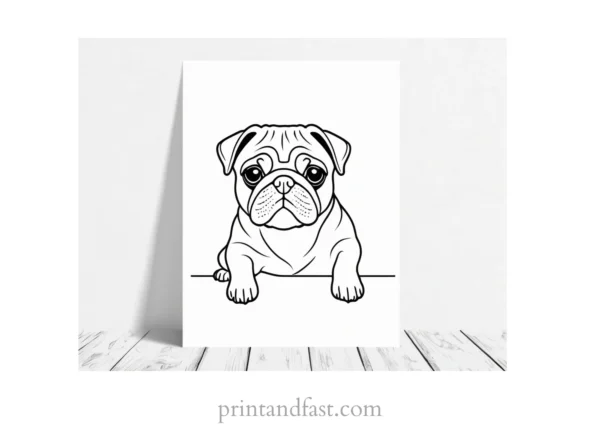 pug coloring page fun