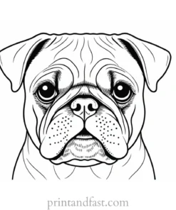 pug coloring page high quality