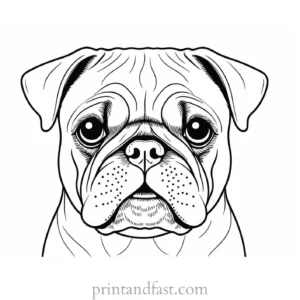 pug coloring page high quality