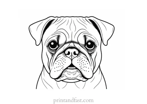 pug coloring page high quality