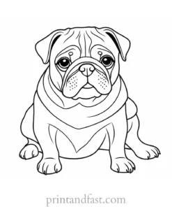 pug coloring page low price