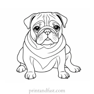 pug coloring page low price