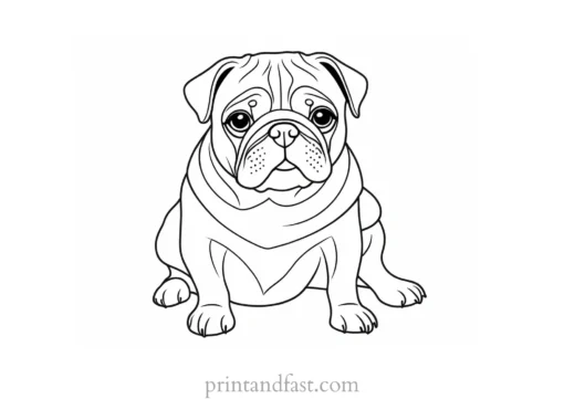 pug coloring page low price