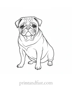 pug coloring page outline