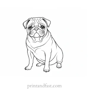 pug coloring page outline