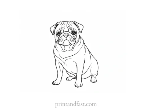 pug coloring page outline