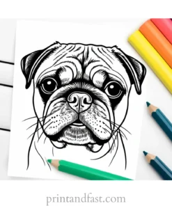 pug coloring page printable