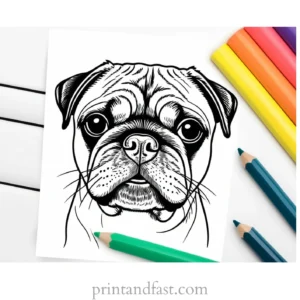 pug coloring page printable