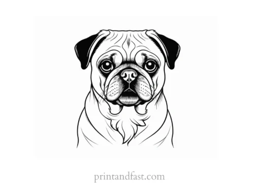 pug coloring page realistic