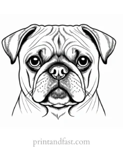 pug coloring page simple