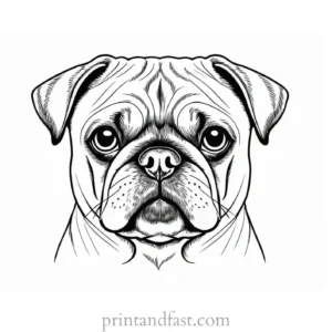 pug coloring page simple