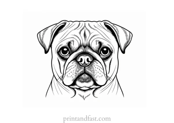 pug coloring page simple