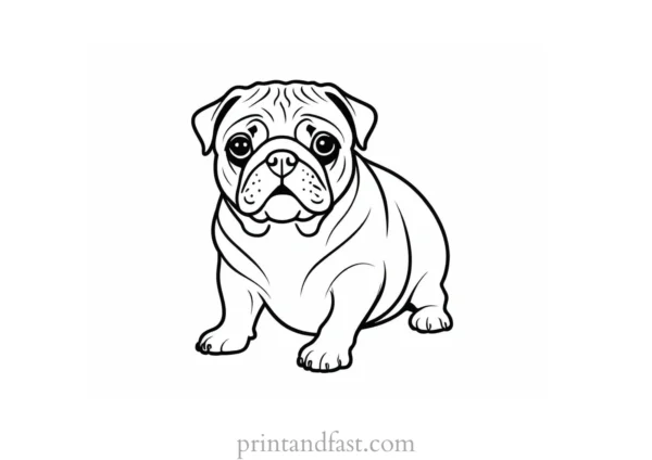 pug coloring page small