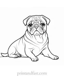 pug coloring page template