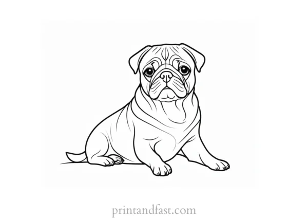 pug coloring page template