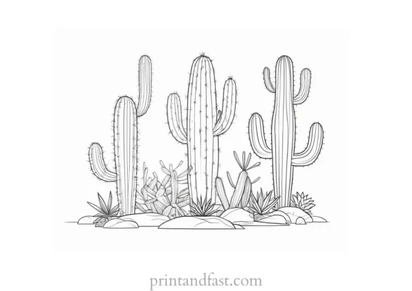 realistic Cactus Coloring Page