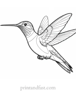 realistic Hummingbird Coloring Page