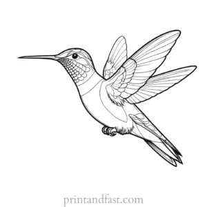 realistic Hummingbird Coloring Page