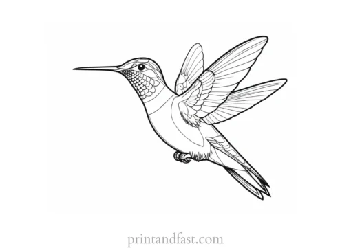 realistic Hummingbird Coloring Page