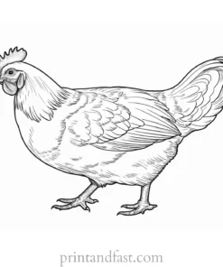 realistic chicken coloring page